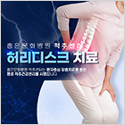 허리 디스크 치료