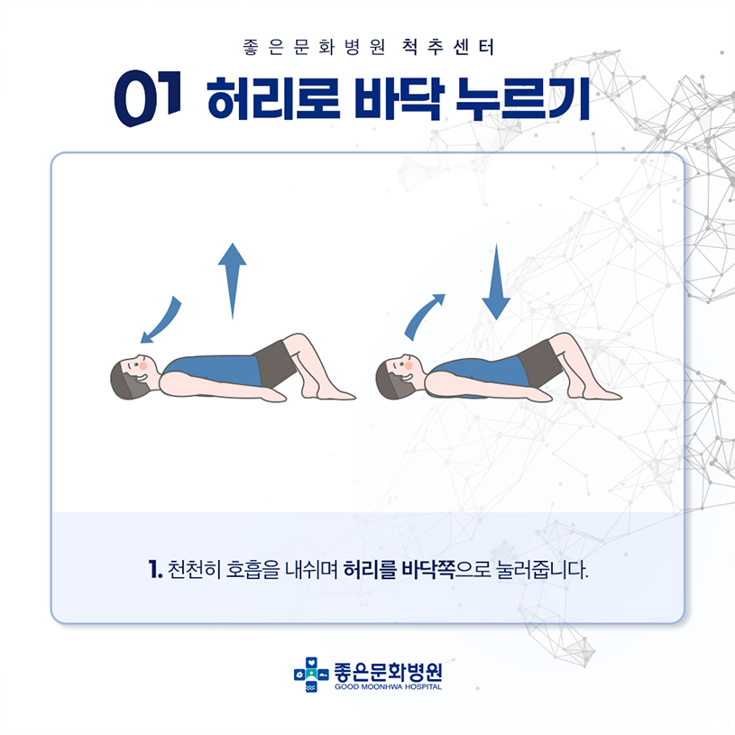 허리 근육 강화 운동1