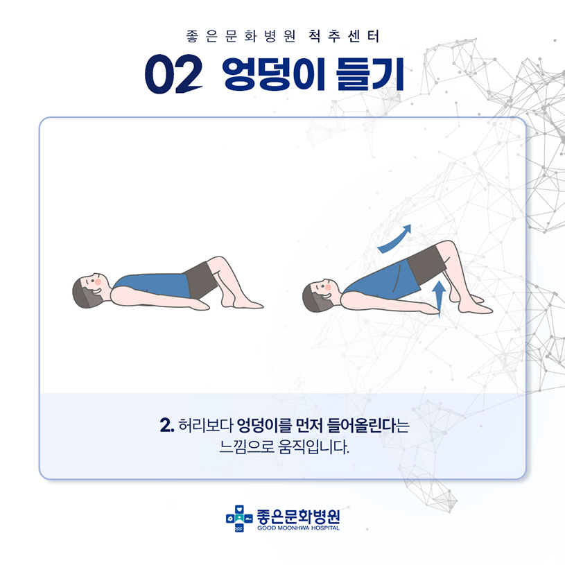 허리 근육 강화 운동2
