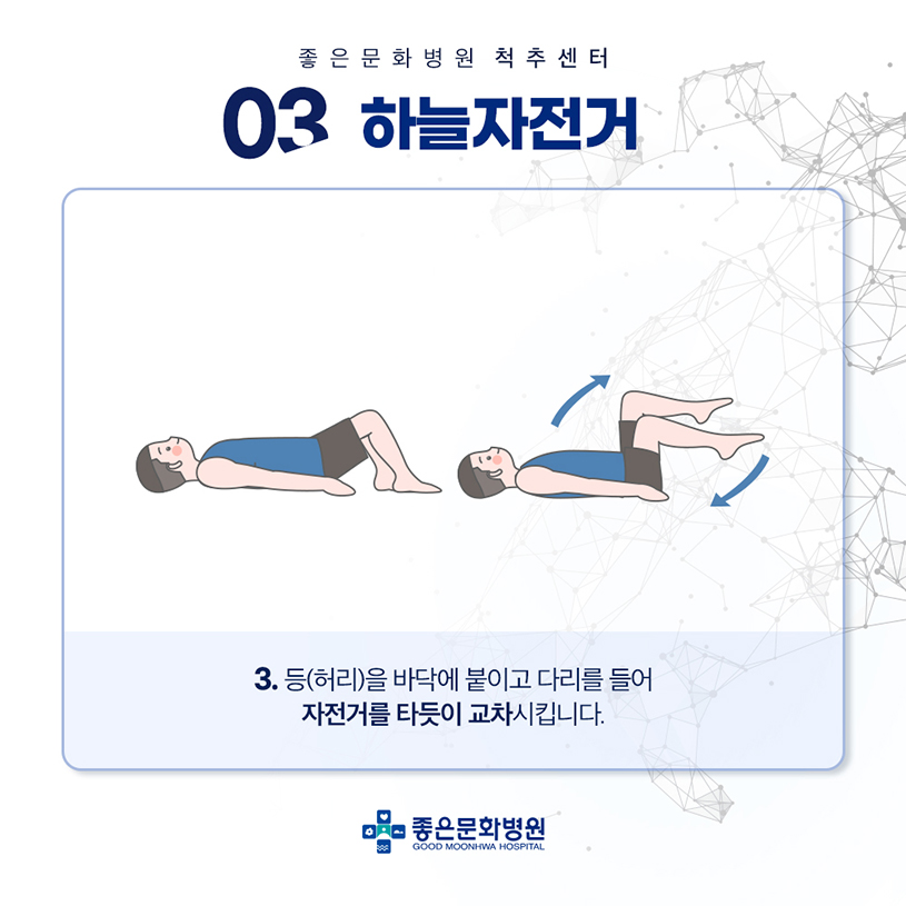 허리 근육 강화 운동3