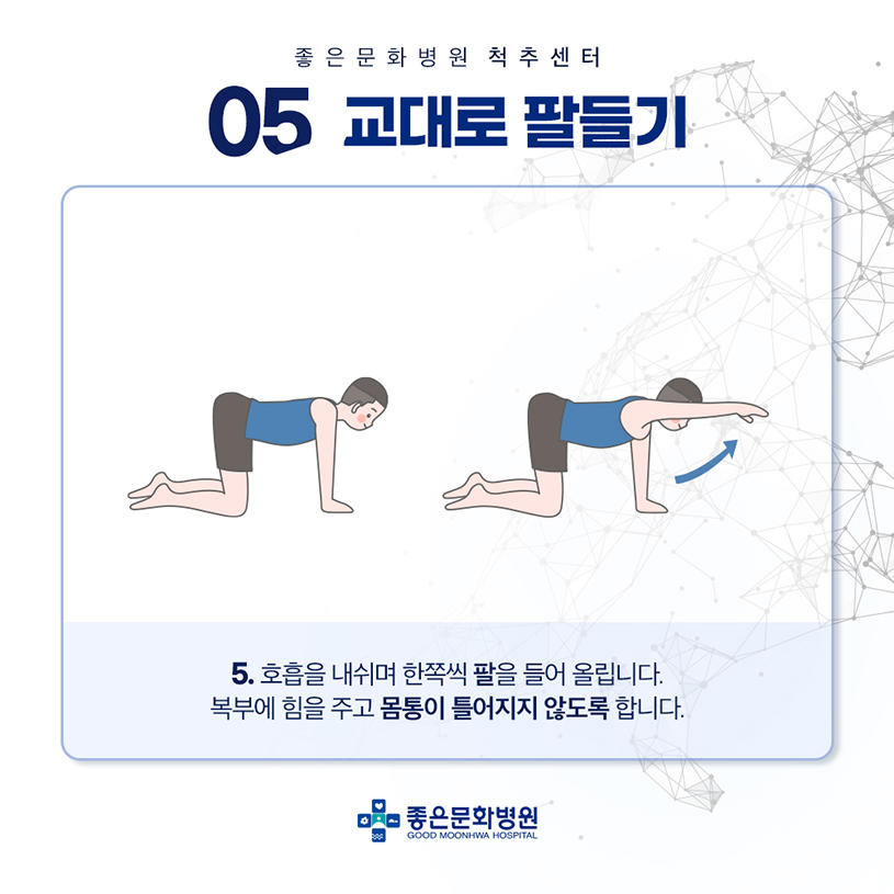 허리 근육 강화 운동5